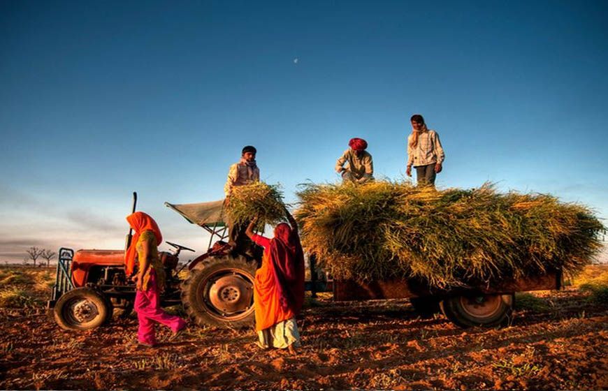 नए साल में मध्य प्रदेश को मिलेंगी खास सौगातें, युवाओं और किसानों के लिए खुशखबरी
