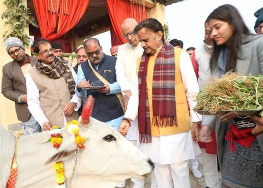 उप मुख्यमंत्री शुक्ल ने नववर्ष पर गौपूजन कर शुरू किया गोलोक दर्शन महोत्सव