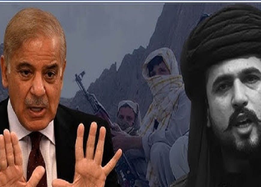 'बलूचिस्तान में चीन उतार सकता है सेना...', बलूच नेता ने जयशंकर को किया आगाह