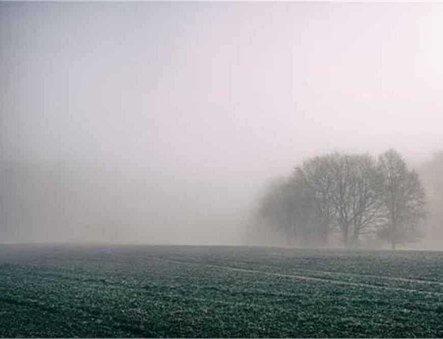 घने कोहरे से घरों में रहने को मजबूर लोग, आम जिंदगी पूरी तरह प्रभावित