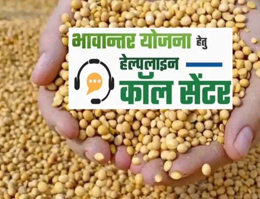 भावांतर योजना में सोयाबीन का मॉडल रेट 4458 रुपए जारी