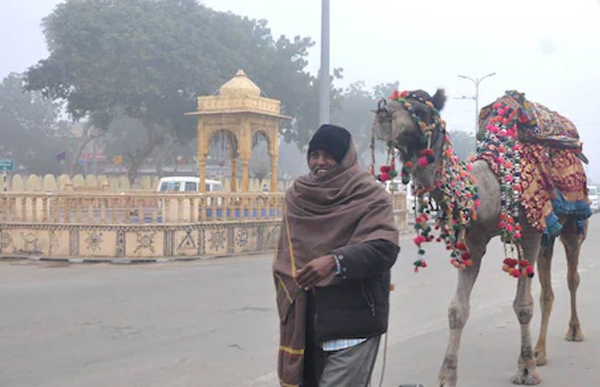 राजस्थान में घना कोहरा और शीतलहर का कहर, 20 जिलों में स्कूल हुए बंद