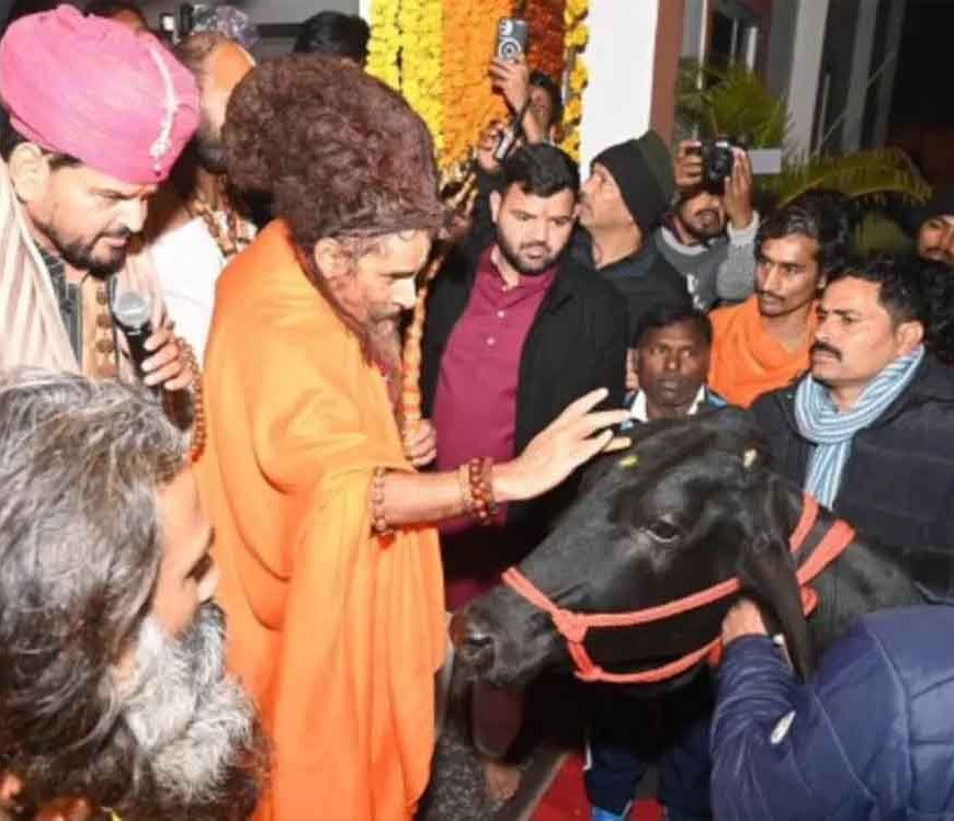 बृजभूषण शरण सिंह का खास तोहफा: ऋतेश्वर महाराज को जन्मदिन पर दी दुर्लभ गाय, कीमत चौंकाने वाली