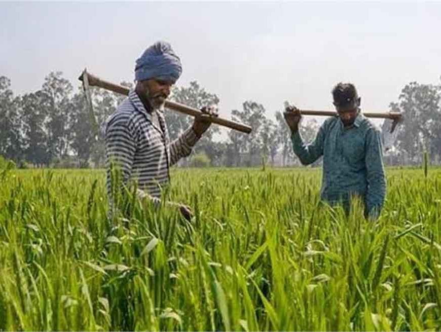 PM-KISAN पर बड़ा ऐलान संभव! बजट 2026 में बढ़ सकती है किसान सम्मान निधि, जानें कितनी होगी नई किश्त