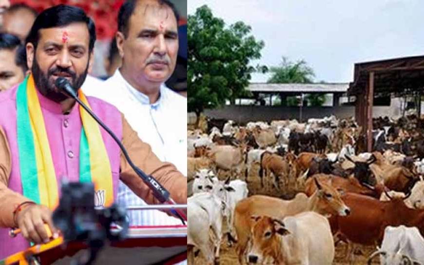 हरियाणा में एक ही पंजीकरण पर मिलेगा लाभ, अलग-अलग गोशालाओं को दो रुपये यूनिट मिलेगी बिजली