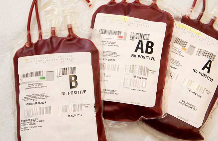 इंसानी ब्लड बैग में मिला हजार लीटर बकरी का खून, रेड में हुआ बड़ा खुलासा; हड़कंप मचा