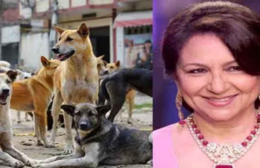‘आप हकीकत से पूरी तरह अलग हैं’ — आवारा कुत्तों के मुद्दे पर SC की शर्मिला टैगोर को सख्त फटकार