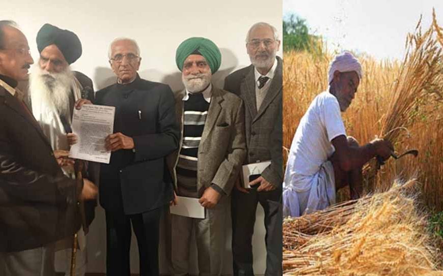 सुप्रीम कोर्ट कमेटी के समक्ष सतनाम बेहरू की भावुक अपील, 'खेती नहीं रही तो खाद्य सुरक्षा भी खतरे में'