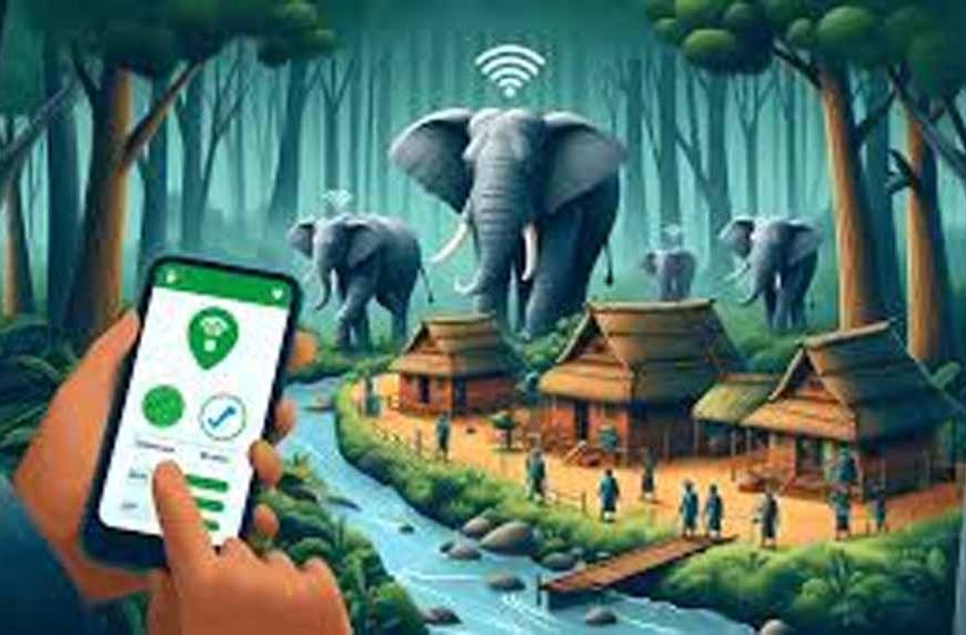 गरियाबंद को मानव-हाथी द्वंद्व रोकने पर मिला मुख्यमंत्री उत्कृष्ट पुरस्कार, एलिफेंट ट्रैकिंग अलर्ट एप बना मददगार
