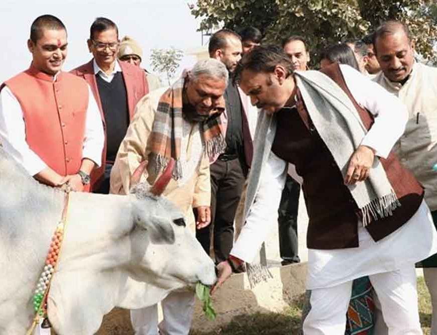 उप मुख्यमंत्री शुक्ल ने बसामन मामा गौवंश वन विहार में ऋषि कुलम का किया भूमिपूजन