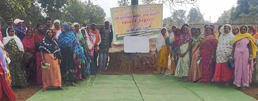 50 वर्षों बाद धमतरी के आदिवासी अंचल में रबी खेती की वापसी