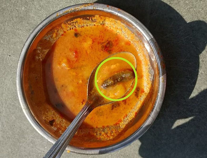 खंडवा: खाने में 3 इंच की इल्लियां, विरोध करने पर वार्डन ने कहा- तुम्हारी निजी बातें उजागर कर दूंगी