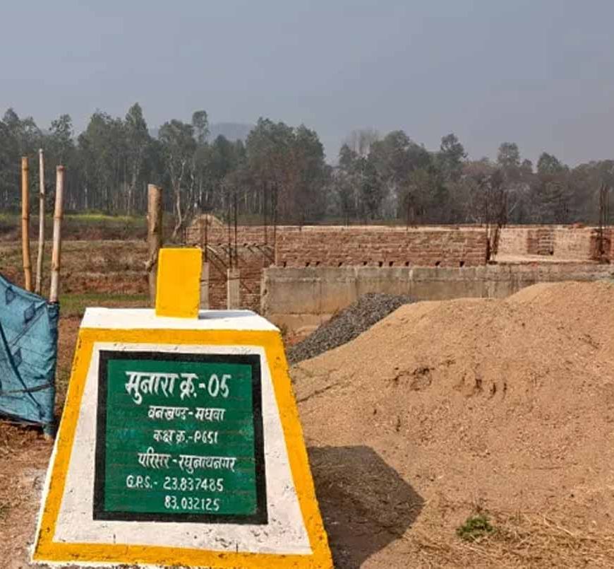 3 एकड़ वन भूमि पर कब्जा, भूमाफिया को रेंजर का संरक्षण