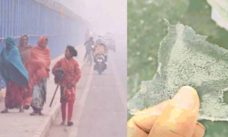 हरियाणा में जीरो डिग्री तक पारा लुढ़कने से जमी बर्फ, 12 जिलों में शीतलहर का अलर्ट