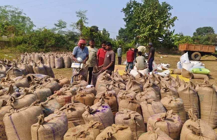 धान का 21 क्विंटल प्रति एकड़ के हिसाब से हो रहा उपार्जन, अफवाहों पर ध्यान न दें किसान