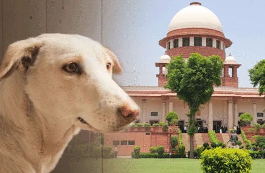 कुत्ते के काटने से मौत पर राज्य सरकार को सुप्रीम कोर्ट का आदेश, देना होगा भारी मुआवजा
