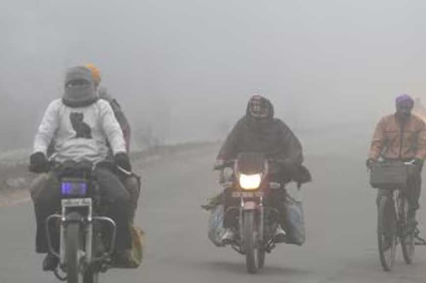 मकर संक्रांति पर MP का मौसम बदला, ग्वालियर में अब भी ठंड, कुछ जगह धूप तो कुछ जगह तेज सर्दी