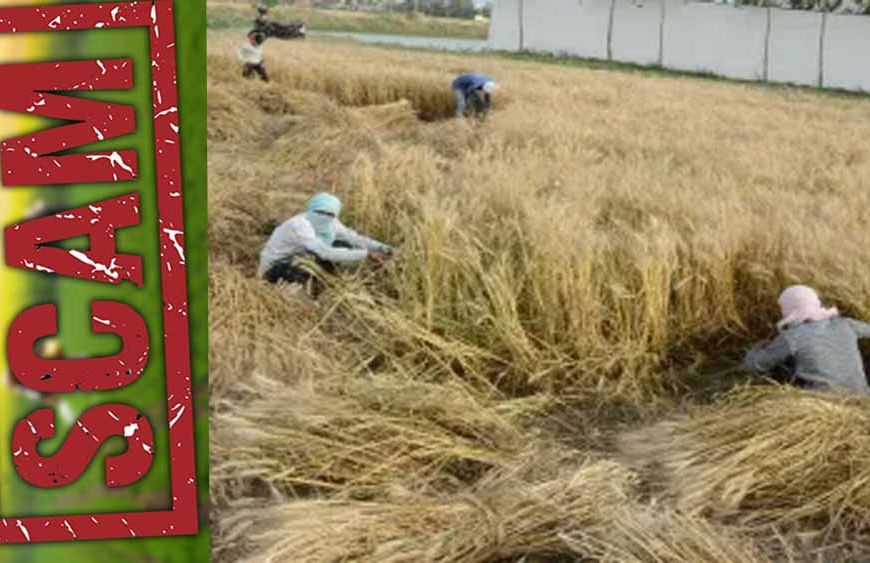 बीमा क्लेम घोटाले पर हरियाणा सरकार की बड़ी कार्रवाई, कृषि विभाग के सयुंक्त निदेशक निलंबित