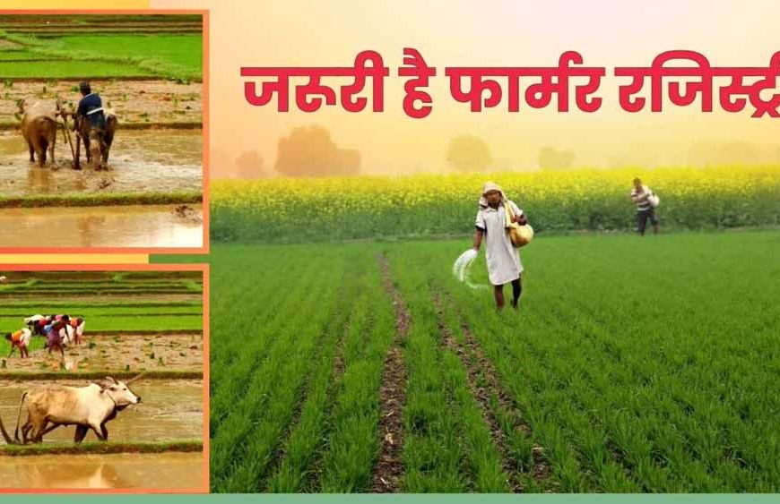 फार्मर रजिस्ट्री में बस्ती, गाजियाबाद और रामपुर पहले तीन स्थानों पर