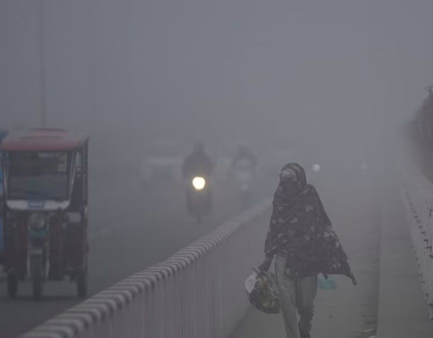 MP में पारा गिरकर 4.6 डिग्री, कोल्ड वेव का असर: भोपाल-इंदौर भी ठंडे, ग्वालियर-चंबल में कोहरा; 20 के बाद मावठा