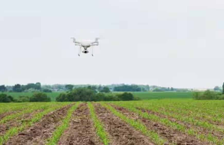 समस्तीपुर में ड्रोन से छिड़काव पर 50 प्रतिशत मिलेगा अनुदान, 106 किसानों ने किया आवेदन