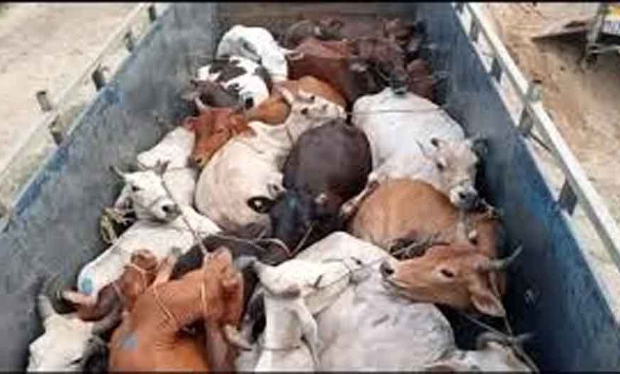 ओडिशा में गोमांस अफवाह से हड़कंप, भीड़ ने दुकान और वाहन जलाए