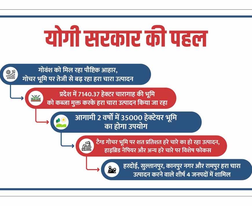 योगी सरकार की संवेदनशील पहल: गोवंश को मिल रहा पौष्टिक आहार, गोचर भूमि पर तेजी से बढ़ रहा हरा चारा उत्पादन