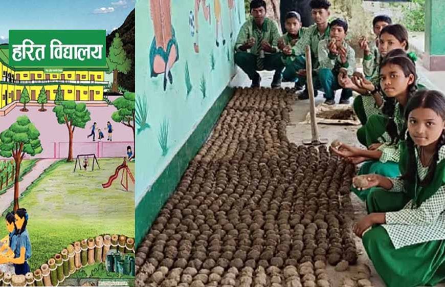रांची के स्कूल में बच्चों ने बनाए 10000 सीड बॉल, हरित विद्यालय की ओर बढ़ा कदम