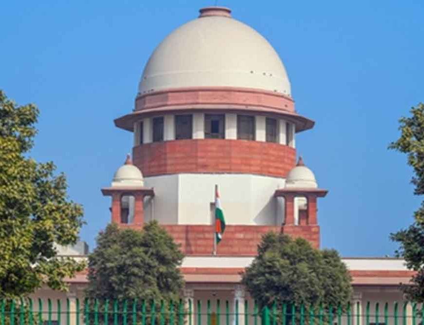 सुप्रीम कोर्ट का सवाल: क्यों नहीं कह सकते कुत्तों से सर्टिफिकेट लेकर चलो?