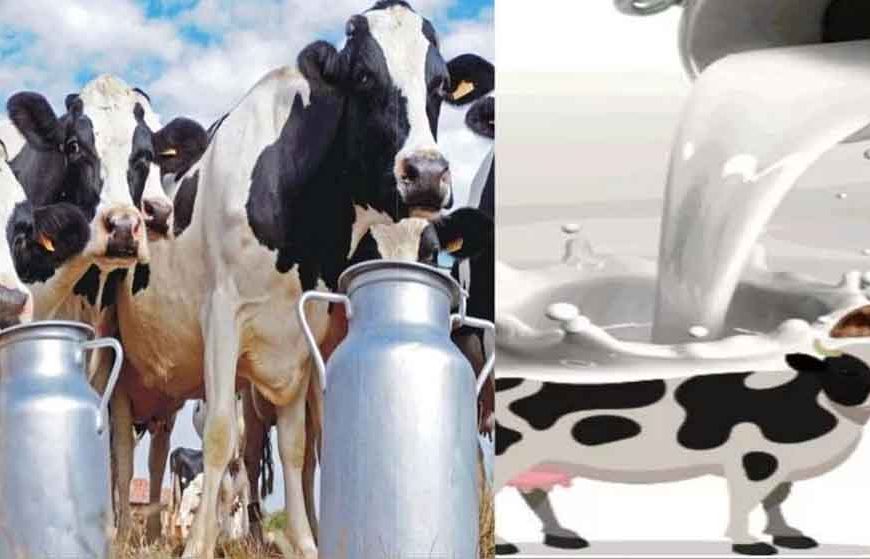 प्रदेश में बनेगी पहली सहकारी क्षेत्र की अत्याधुनिक राज्य स्तरीय डेयरी परीक्षण प्रयोगशाला