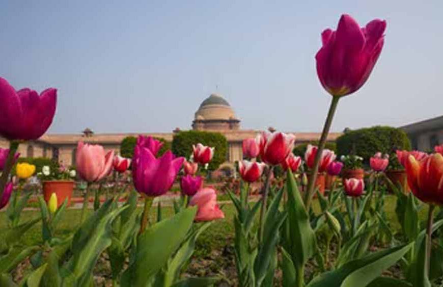 जनता के लिए आज से खुला राष्ट्रपति भवन का ‘अमृत उद्यान’ — जानें टिकट, टाइमिंग और जरूरी जानकारी