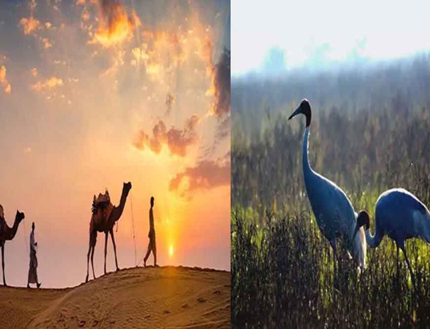 रेगिस्तान से महलों तक: राजस्थान की 10 सबसे खूबसूरत जगहें, जहां हर सफर बनता है यादगार