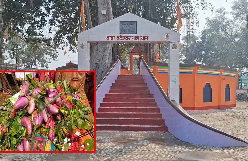 बैगन चढ़ाओ, मन्नत पाओ! बिहार के इस अनोखे शिवधाम में खेती से जुड़ी है भोलेनाथ की आस्था