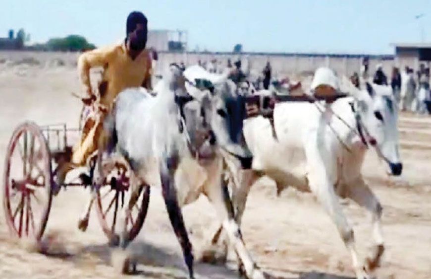 लुधियाना के किला रायपुर में फिर दौड़ेगी बैलगाड़ी, 11 साल बाद ग्रामीण ओलंपिक में वापसी, DC ने दिए नियमों के पालन के निर्देश