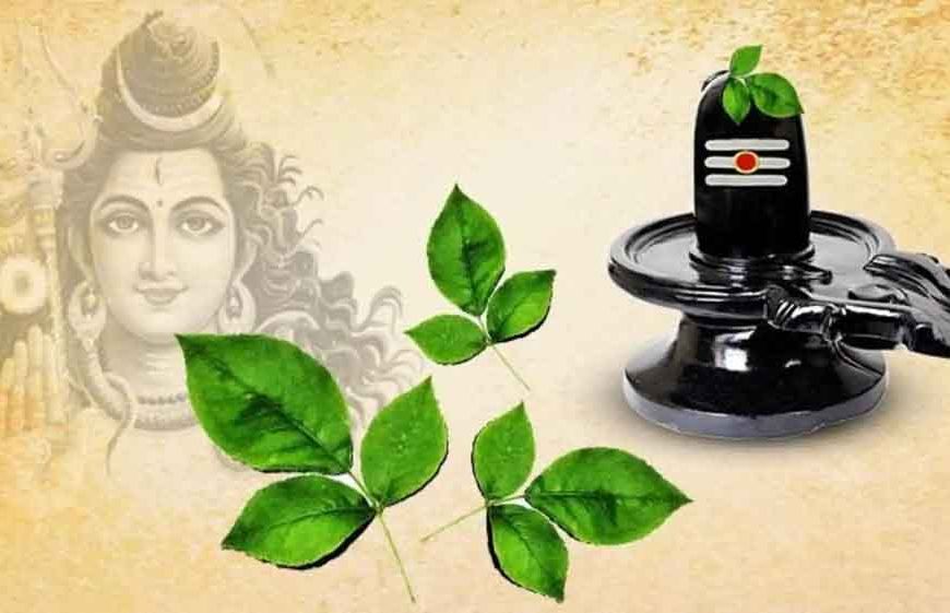 भगवान शिव को बेलपत्र क्यों है सबसे प्रिय? जानिए पौराणिक कथा और रहस्य