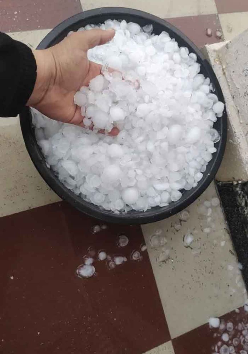 MP में ओले गिरे; 28 जिलों के लिए बारिश-आंधी का अलर्ट