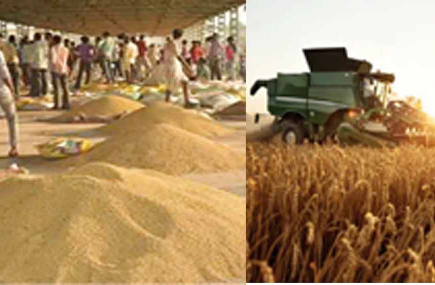 बिहार में 'कृषि सुपर बाजार' का किसानों को मिलेगा सीधा लाभ, बिचौलियों का खेल खत्म