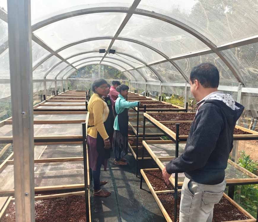 जशपुर में हरित तकनीक की पहल: DST प्रायोजित परियोजना से स्थापित हुआ सोलर टनल ड्रायर