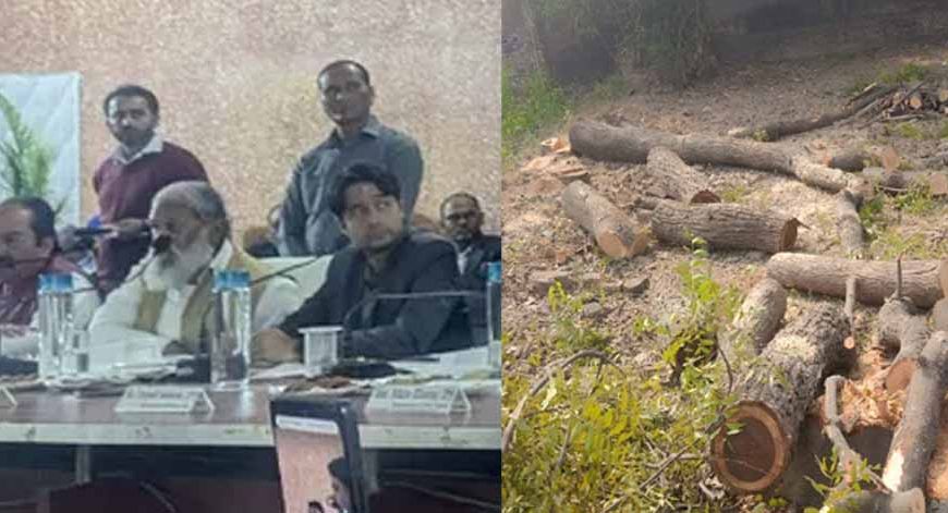 हरियाणा में 31 पेड़ों की कटाई पर दो अधिकारी सस्पेंड, मंत्री विज का बड़ा एक्शन