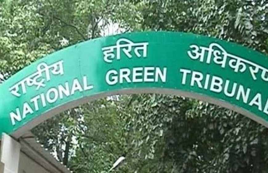भोपाल का कलियासोत–भोज वेटलैंड विवाद: एनजीटी ने प्रशासन की निष्क्रियता पर लगाई फटकार
