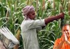 Yogi Adityanath सरकार का बड़ा फैसला: 2.51 लाख किसानों को 285 करोड़ का फसल मुआवजा