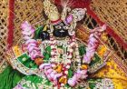 होली पर श्रद्धालुओं को बड़ा झटका: वृंदावन में ठाकुर जी के दर्शन रहेंगे बंद, जानिए वजह