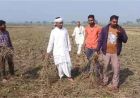 पानी संकट ने रोकी खेती: हरियाणा के इस गांव में सैकड़ों एकड़ जमीन पर नहीं बोया गया गेहूं