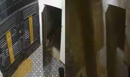 घर के अंदर अचानक फटी जमीन, तेज धार से फूट पड़ा पानी; दहशत में परिवार