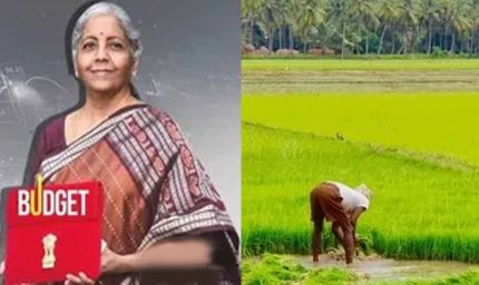 हरियाणा में खारेपन और सेम से मिलेगी मुक्ति, 6 लाख एकड़ जमीन को खेती योग्य बनाएगी सरकार