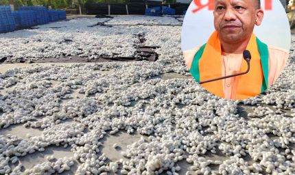 योगी सरकार की दूरदर्शी पहल से रेशम उद्योग को नई उड़ान, ‘सेन्टर ऑफ एक्सीलेन्स’ का हुआ शुभारंभ