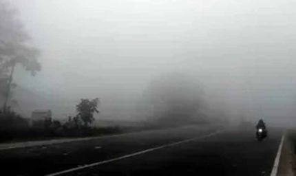 पंजाब में हल्की वर्षा के बाद बढ़ा घना कोहरा, यातायात प्रभावित होने की आशंका