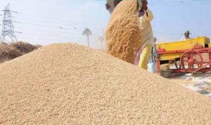 छत्तीसगढ़ के किसानों को बड़ी राहत, धान खरीदी की तारीख 2 दिन बढ़ी, अब 4 और 5 फरवरी को भी बिकेगा धान