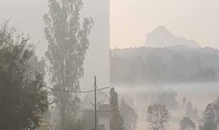 एमपी में घना कोहरा, 12 से ज्यादा ट्रेनें लेट; मालवा एक्सप्रेस 8 घंटे देरी से, शाजापुर में हादसे में युवक की मौत
