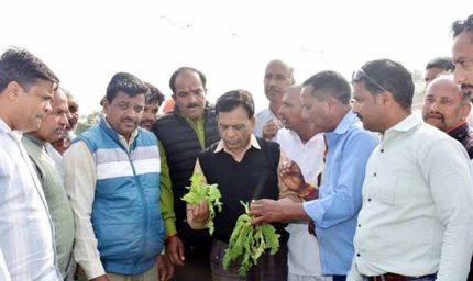 उप मुख्यमंत्री  देवड़ा ने किया ओलावृष्टि प्रभावित फसलों का निरीक्षण